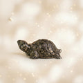 Pyrite Tortoise for Wealth, Protection & Vaastu – Compact Feng Shui Kachhua