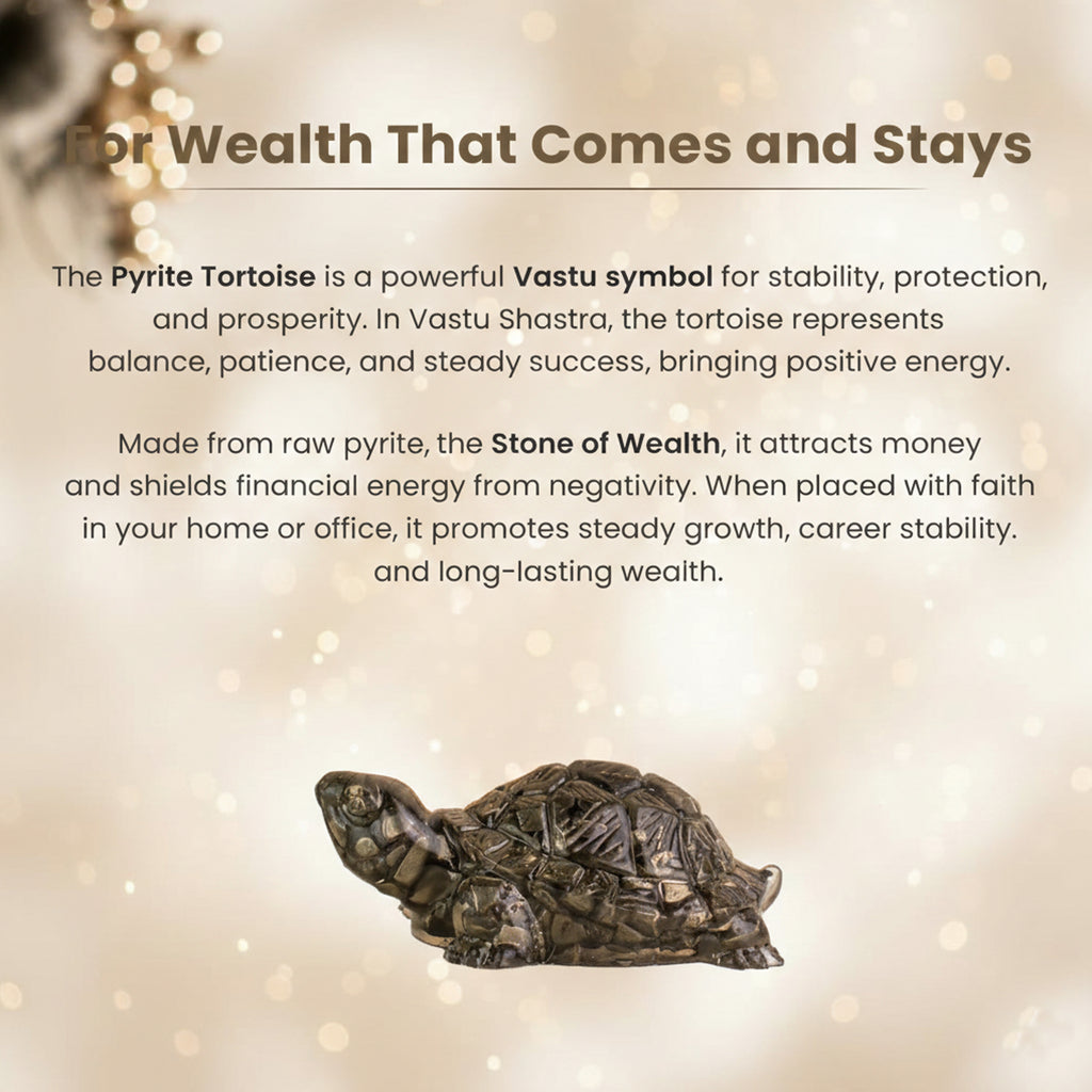 Pyrite Tortoise for Wealth, Protection & Vaastu – Compact Feng Shui Kachhua