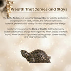 Pyrite Tortoise for Wealth, Protection & Vaastu – Compact Feng Shui Kachhua