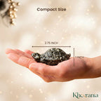 Pyrite Tortoise (Kachhua) 2.7x1 Inch – Pyrite Stone Turtle for Good Luck & Wealth, Vastu Home Decor